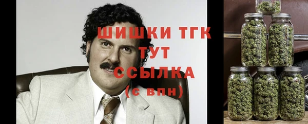 тгк Гусиноозёрск