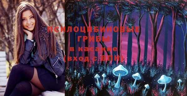 тгк Гусиноозёрск