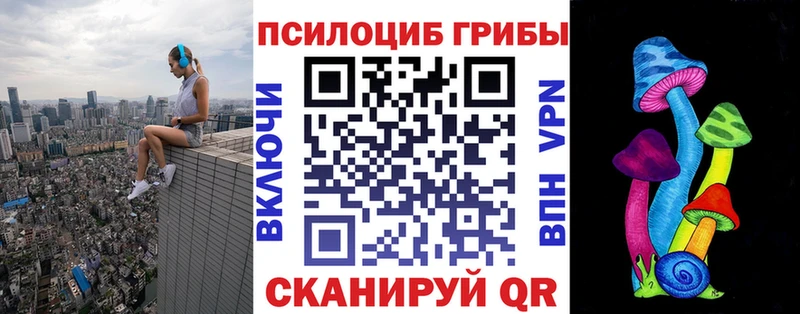 Галлюциногенные грибы Psilocybe цены Володарск